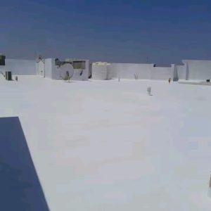 IMG-20251215-WA0026